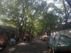 -北京国子监胡同