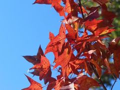 -楠溪江风景名胜区