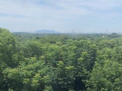 -梁鸿国家湿地公园