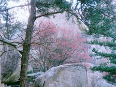 -崂山仰口游览区