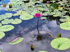 -国家植物园南园