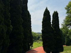 -棒棰岛宾馆景区