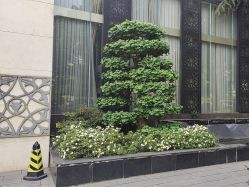 -金牛宾馆·婚寿宴预定中心
