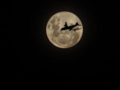 -克比叔叔印度餐厅Kebabs on the Grille(永康路分店)