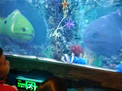 -沈阳海洋探索中心