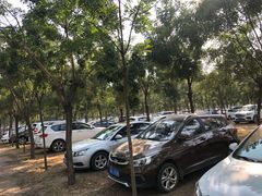 停车场-石家庄市动物园