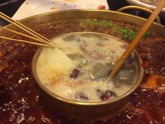 -杨家火锅(国美店)
