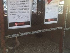 -鱼窝棚柴火铁锅炖(富山屯店)