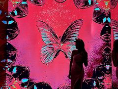 -CitiHot欢悦酒店(广州北京路店)