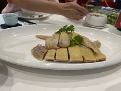 -金河半岛园林酒家(金融城店)