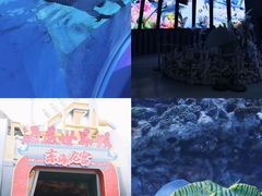 -上海海昌海洋公园