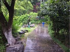 iphone_upload_pic-郑和公园