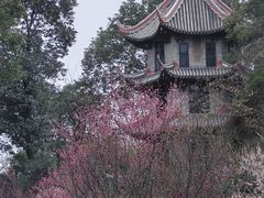 -成都杜甫草堂博物馆