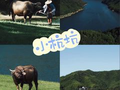 -阿露佳·舌尖上的安吉菜