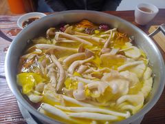 -菌极鲜野生菌火锅店(阳明祠店)