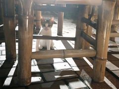 -湖南别院·美学庭院餐厅(惠阳店)
