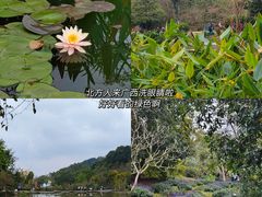-阿嬷手作(南宁百盛印象城店)