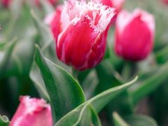 -玄武湖景区-情侣园游乐场