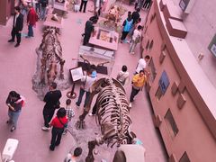 -陕西自然博物馆