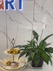 -普睿媞产后直营连锁(天鹅湖万达店)