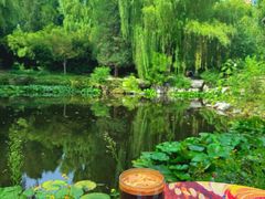 -三忘湖 SWANSEEN(柳荫公园店)