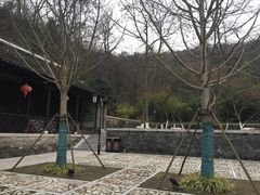 -镇江市南山风景名胜区竹林景区