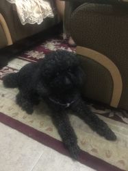 -杉惠素颜美妆皮肤管理中心