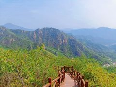 -大岭沟猕猴桃谷风景区