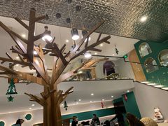 -飞行喵MR PILOT|猫舍·猫咖(静安大融城店)