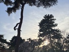 -京都御所