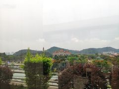 景观位-顺德美的万豪酒店·自助餐·贡厨