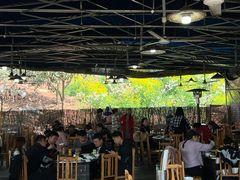 -桃源山庄·水蜜桃采摘·柴火鸡·烧烤团建(龙泉山店)