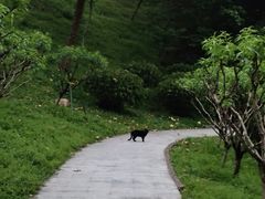 -广州市白云山风景名胜区