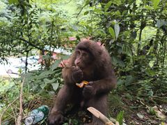 -西岭雪山大飞水景区