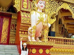 -西双版纳勐泐文化旅游区