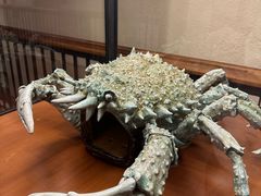 -斯福尔扎古堡