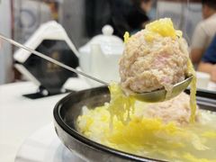 -丁老爷子苏香圆