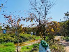 -田野绿世界