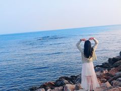 -小麦岛公园