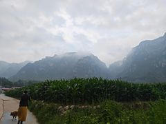 -武家湾景区