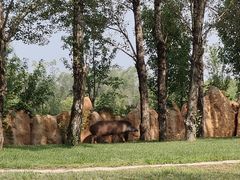 -北京野生动物园