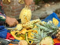 -西双版纳傣族园