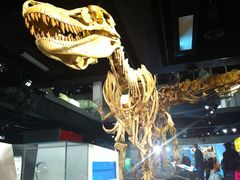 -墨尔本博物馆(Melbourne Museum)