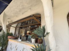 -Sirena海妖日咖夜酒