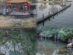 -济南大明湖景区