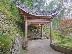 -宁波浙东大竹海景区