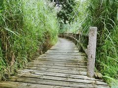 -成都市活水公园