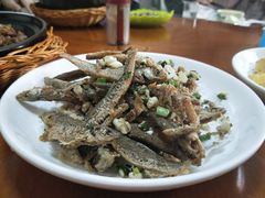 -全乐鱼馆·淳牌有机鱼直营店