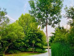 -南开大学滨海学院