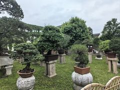 -拙政园